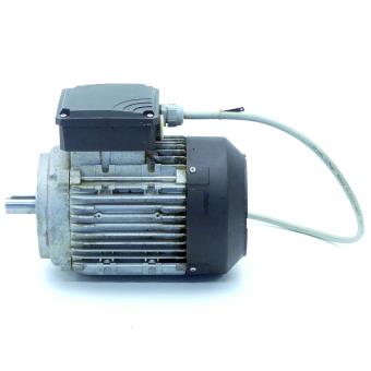 Three-phase motor 3842518058-290 