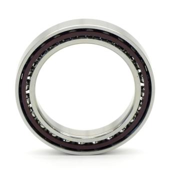 Angular Ball Bearing 