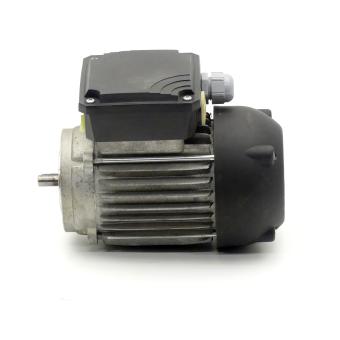 Three-phase Motor IEC 60034 