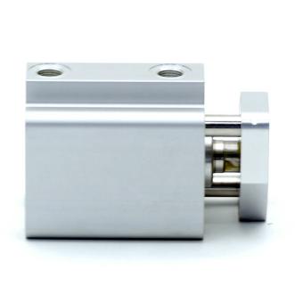 Pneumatic cylinder 