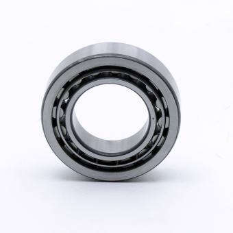 Cylindrical Roller Bearing 