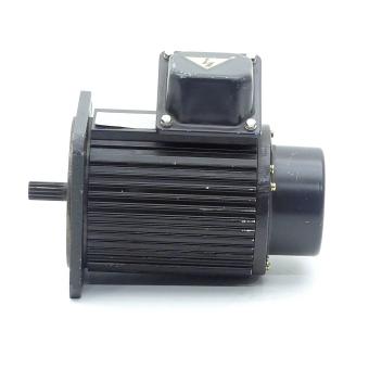 3 Phase Induktion Motor 