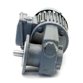 gear motor 