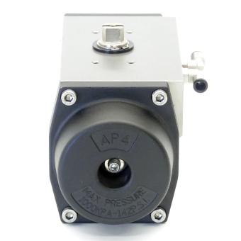 Pneumatic actuator 