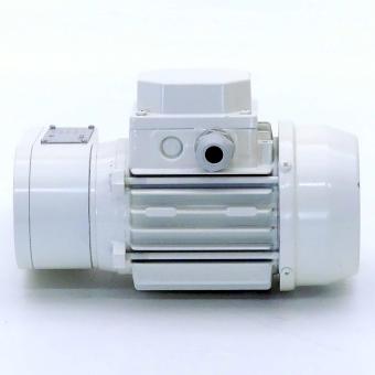 gear motor 56M/2 + 30-13102/30 