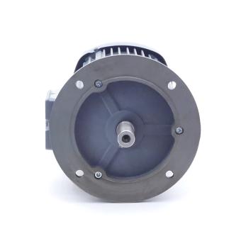 Three-phase motor IE2-WE1R 100 L 4 TPM140 