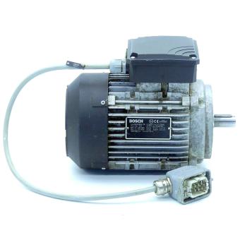 Three-phase motor 3842518058-290 