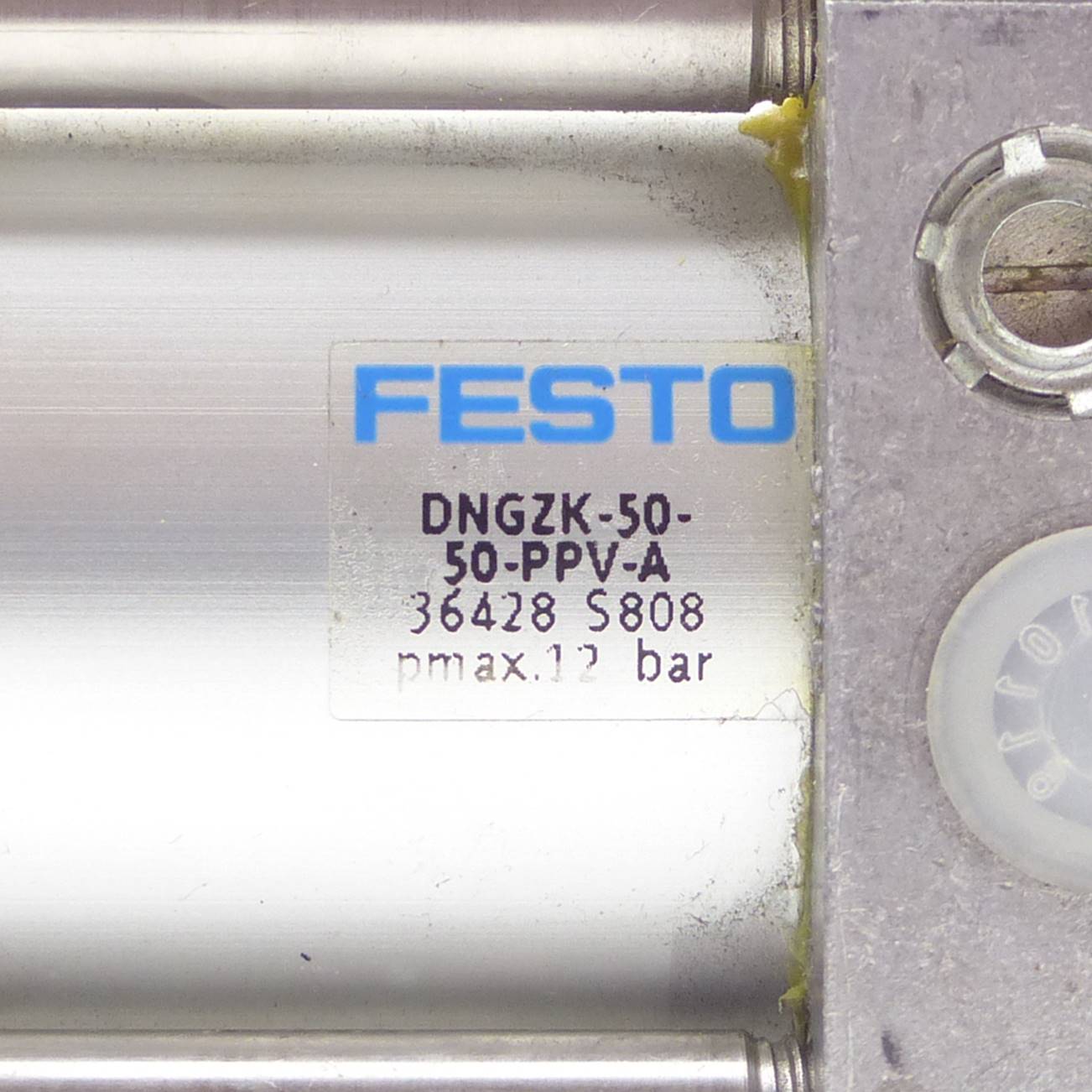 Standard Cylinder DNGZK-50-50-PPV-A 