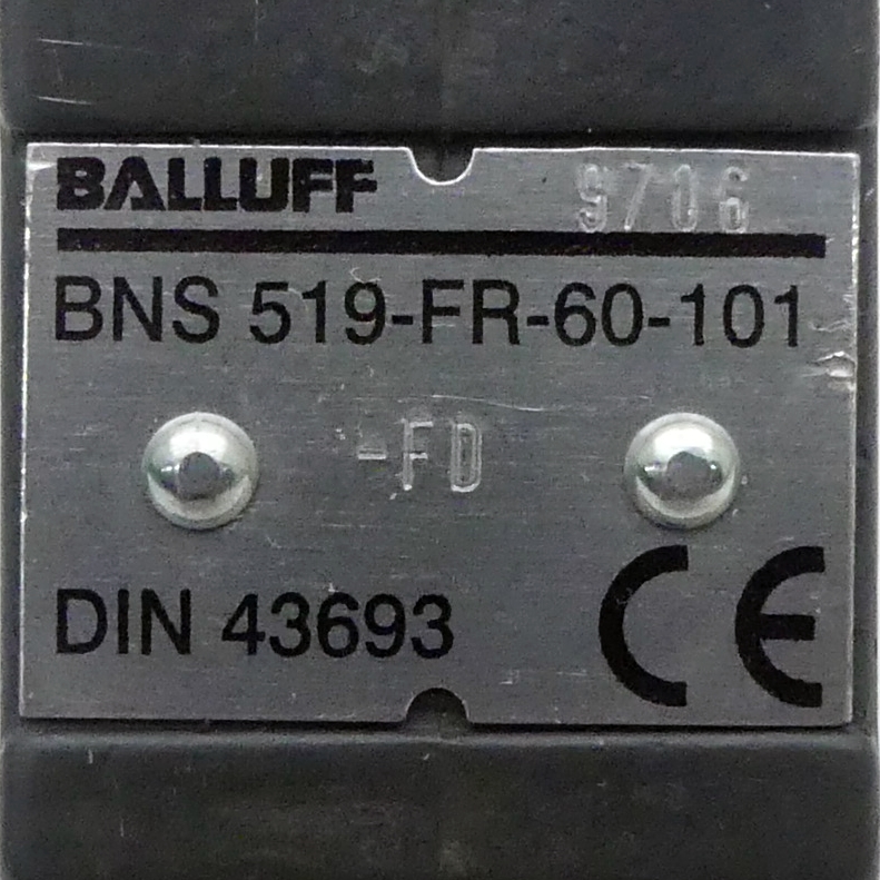 Einzelpositionsschalter BNS519-FR-60-101 