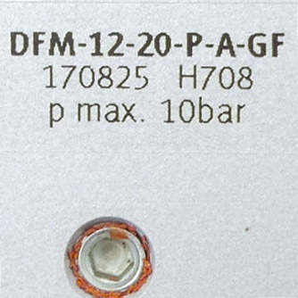 Führungszylinder DFM-12-20-P-A-GF 