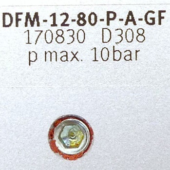 Führungszylinder DFM-12-80-P-A-GF 