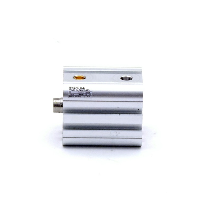 Pneumatic cylinder R422001415 