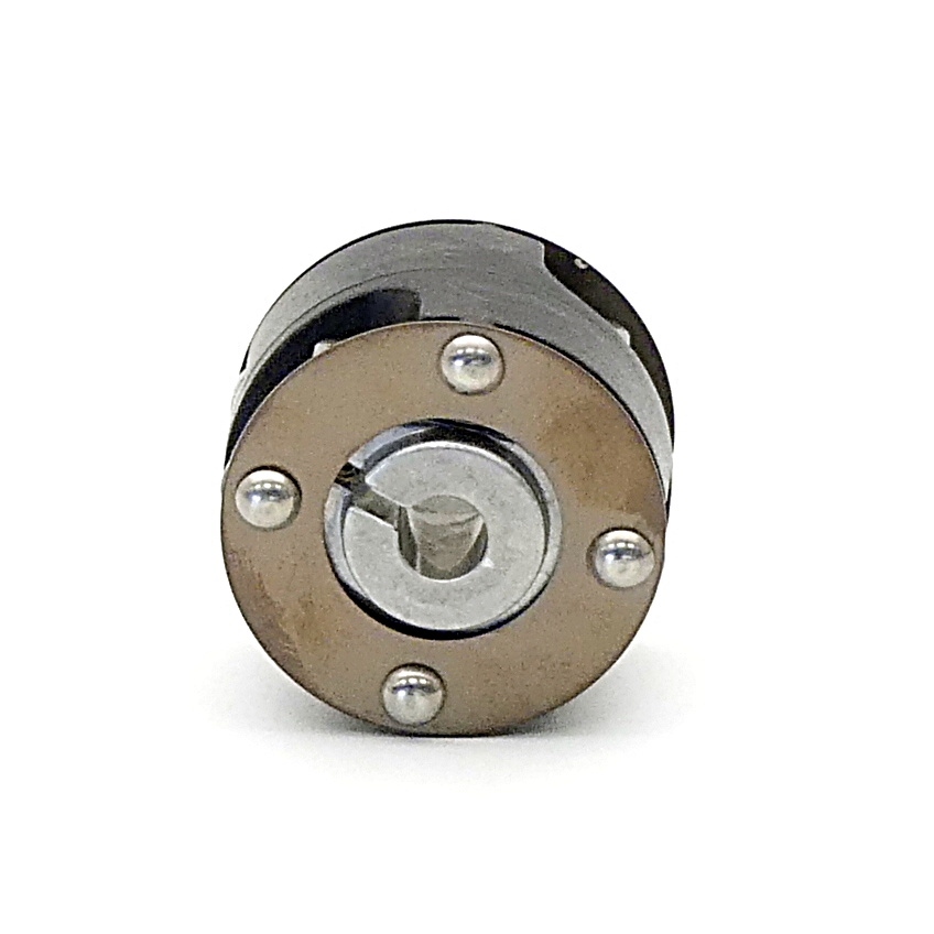 Diaphragm coupling K17 