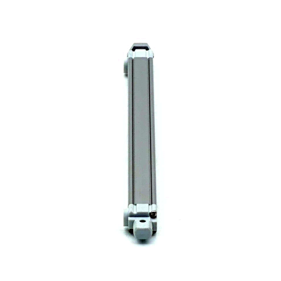 Pneumatic cylinder R480167294 