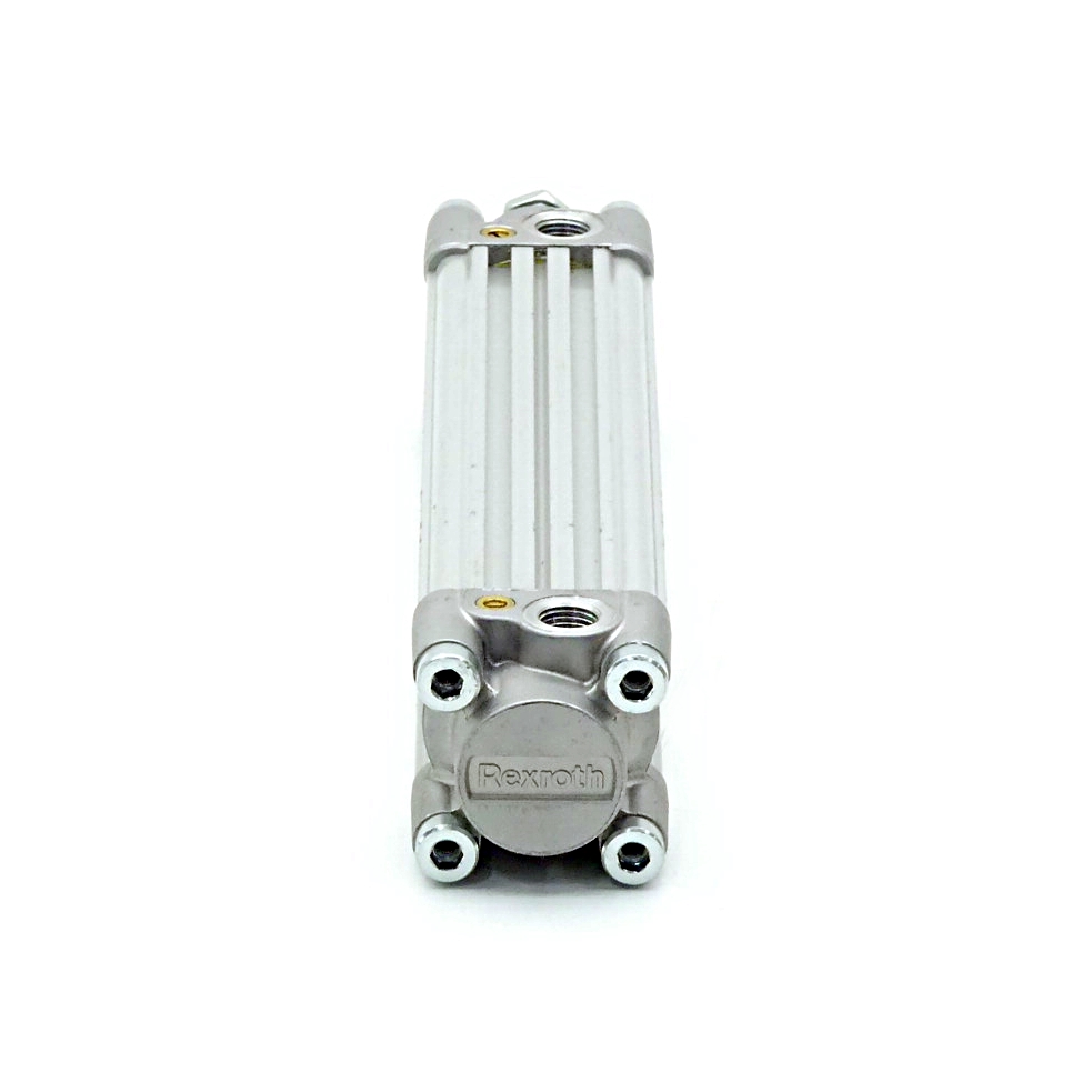 Pneumatic cylinder R 480 044 478 