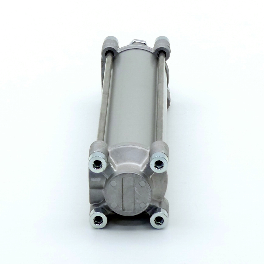 Pneumatic cylinder 