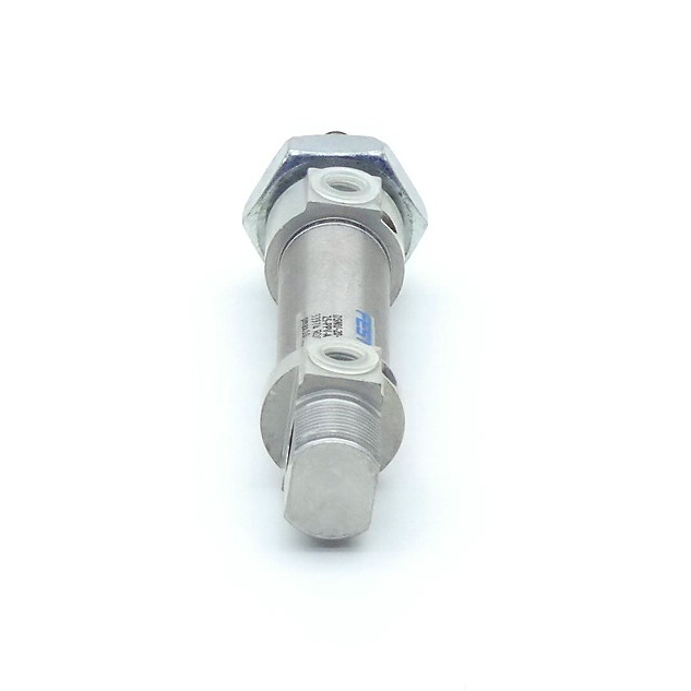 Round cylinder DSNU-20-25-PPV-A 