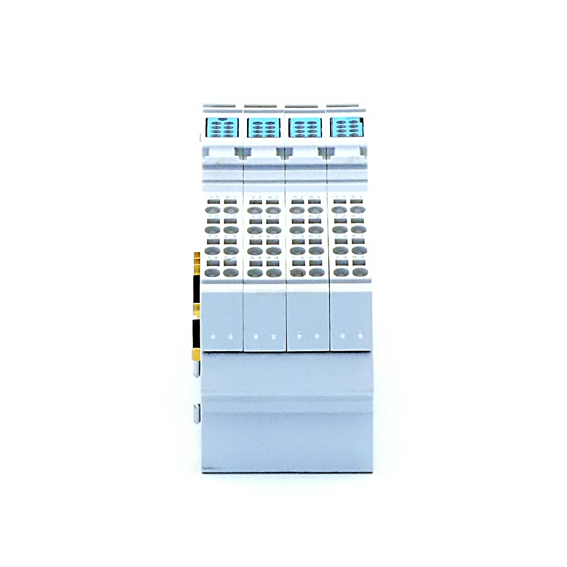 Input module 